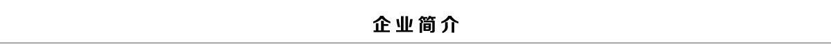 企業(yè)簡(jiǎn)介